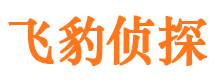 振安市调查公司